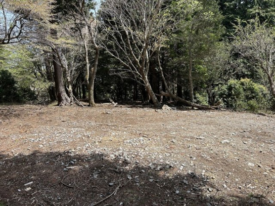 【外観】 | 天城高原別荘地　売地