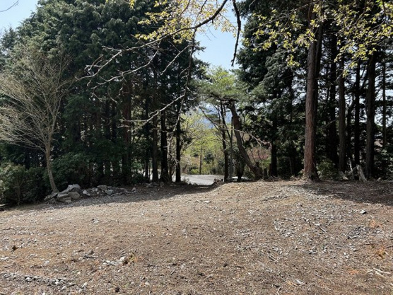 【外観】 | 天城高原別荘地　売地