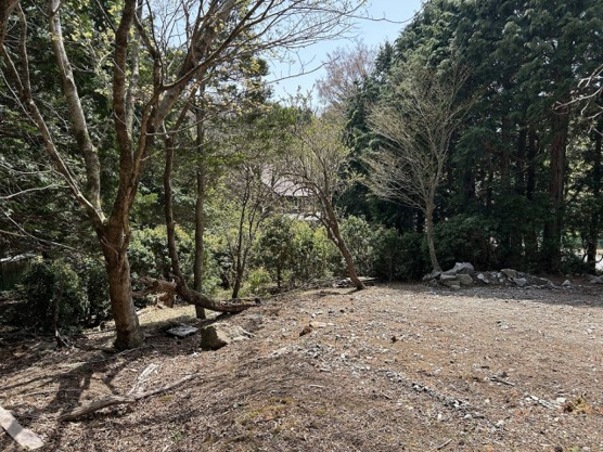 【外観】 | 天城高原別荘地　売地