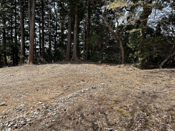 【外観】 | 天城高原別荘地　売地