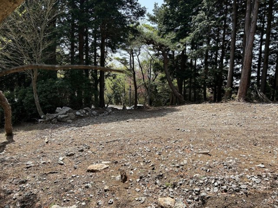 【外観】 | 天城高原別荘地　売地