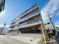 ラフィーネの画像