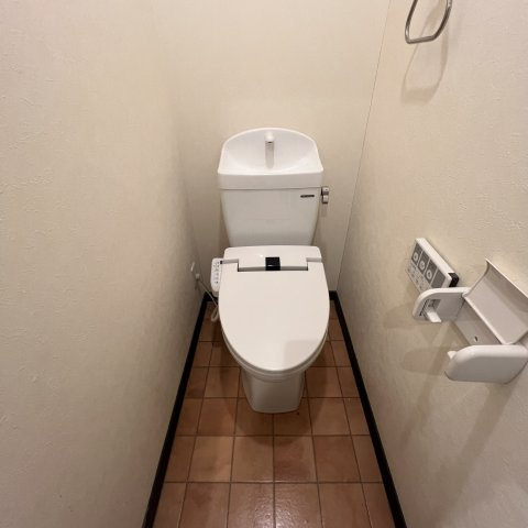 セントウレアのトイレ