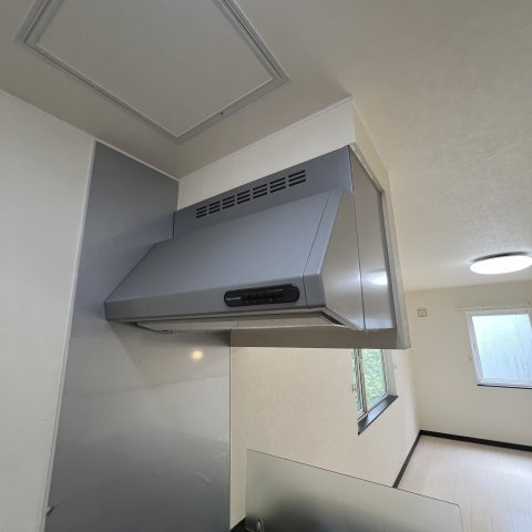 セントウレアのその他