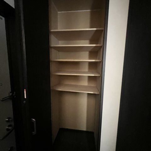 セントウレアの収納