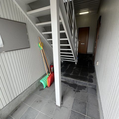 セントウレアのその他