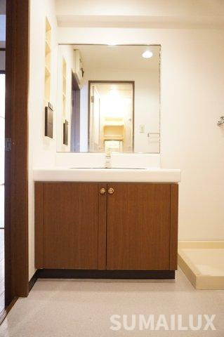 ダイアパレス保田窪の洗面所