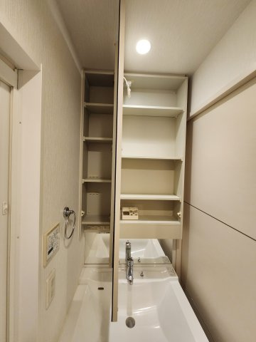 ワイズシティ壺川ステーションの洗面所