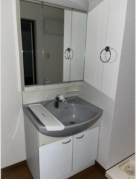 レアールネムスの洗面所