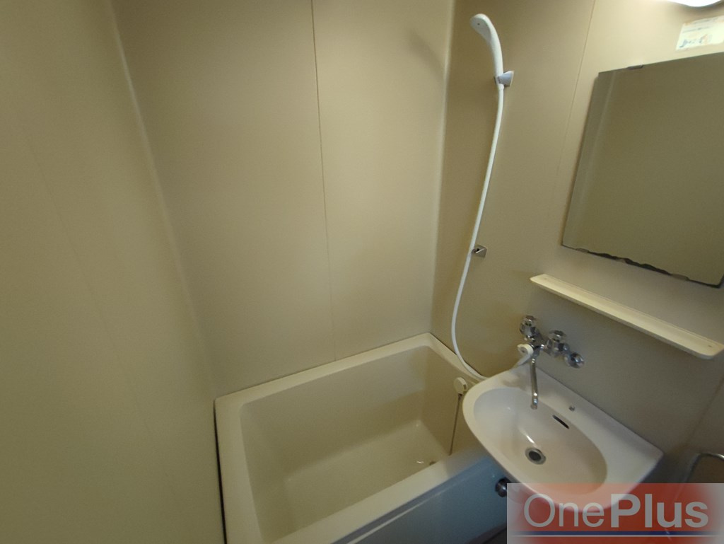 セルダンハイツ大石東の浴室