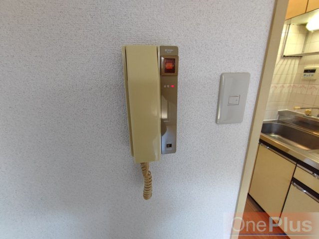 セルダンハイツ大石東のセキュリティ