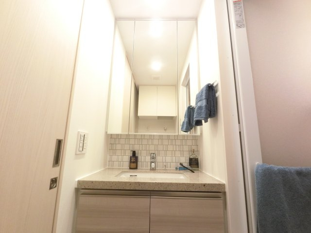 ザ・パークハビオ行徳駅前の独立洗面台