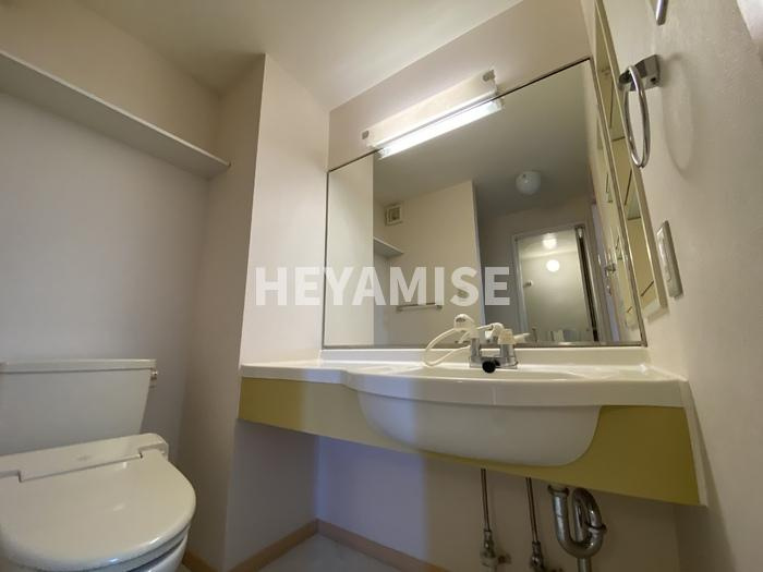 インター池田Ⅱの洗面所