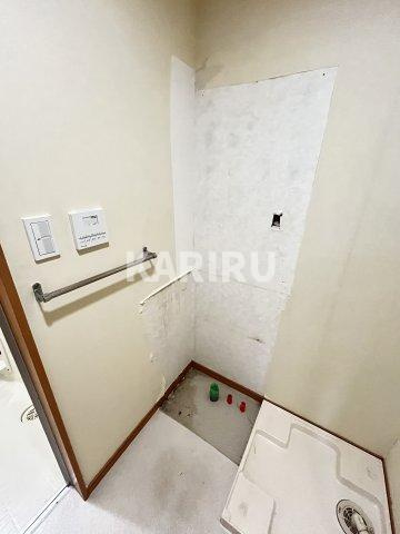 ルナコートの洗面所|同物件別部屋の写真です