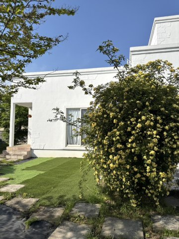 高崎市足門町1396-1の庭