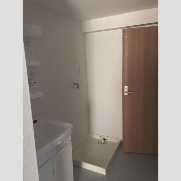 マンション外堀川の洗面所