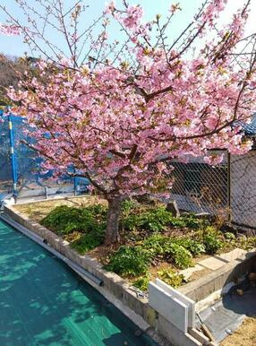 【庭】 | 伊東市宇佐美　戸建