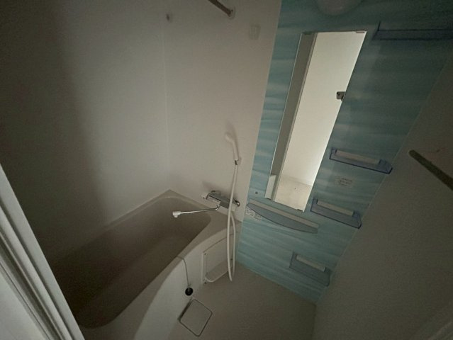 セレニテ難波プリエの浴室