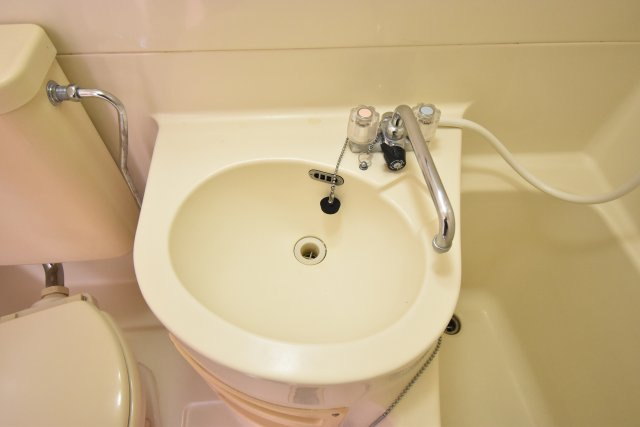 コーポロイヤルの洗面所