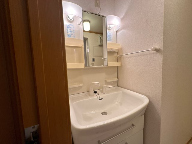 ブリーズ　アレイの洗面所