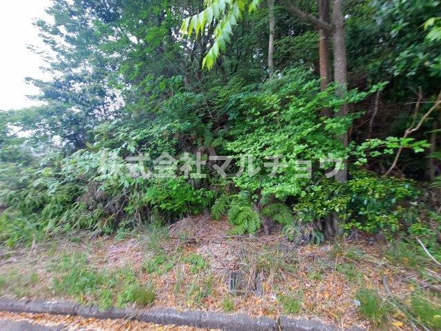 南紀の台売り地　　の土地図