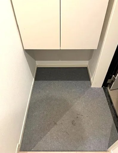 グランニール南浦和の玄関