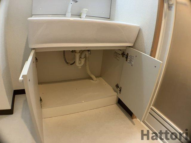 センターポイント吉志部の独立洗面台