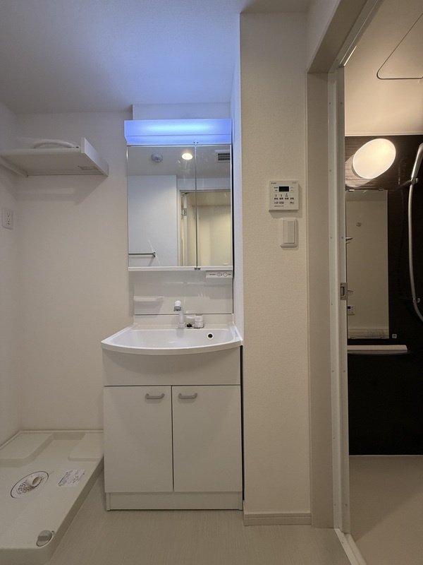 リブリ・相模大野４の洗面所