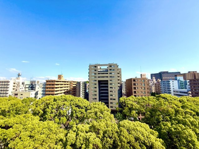 セザール大通り公園の展望