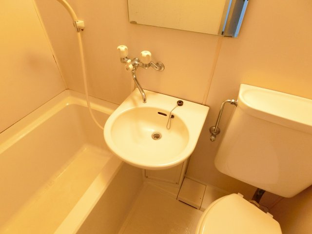 酒谷ハイツの洗面所