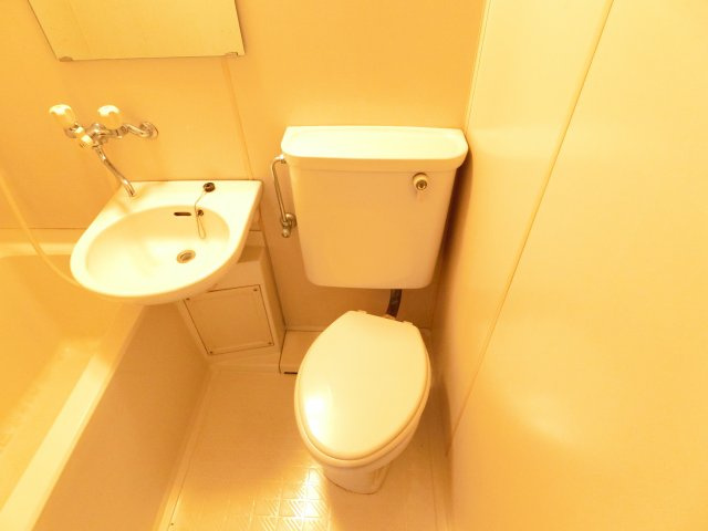 酒谷ハイツのトイレ