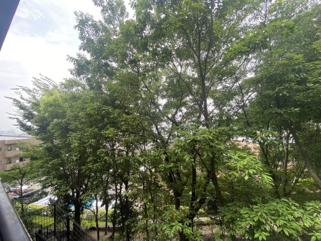 リーベスト御影B棟の展望