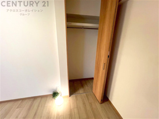 衣類やアクセサリー、小物類の収納が便利で整理整頓がしやすく、部屋の美観を保ちつつ、スペースを最大限に活用できます。衣服のしわやダメージを防ぎ、長持ちさせることができます。