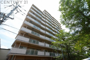 構造・工法・仕様