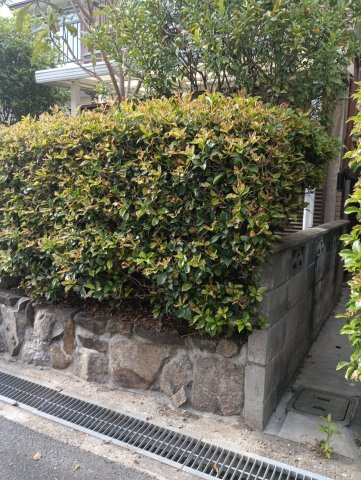 売土地　大東市平野屋1丁目（建築条件無し上物有）の外観