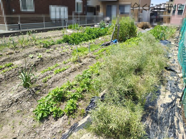 【外観】 | 姫路市網干区垣内本町／売土地