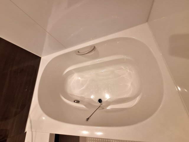 プラム城山の浴室