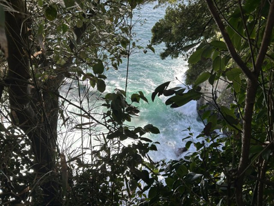 【外観】 | 伊東市富戸　売地