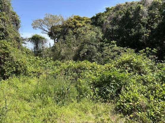 【外観】 | 伊東市富戸　売地