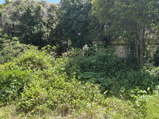 【外観】 | 伊東市富戸　売地