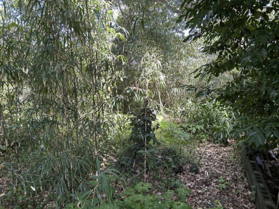 【外観】 | 伊東市富戸　売地