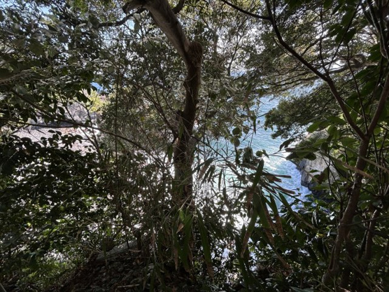 【展望】 | 伊東市富戸　売地