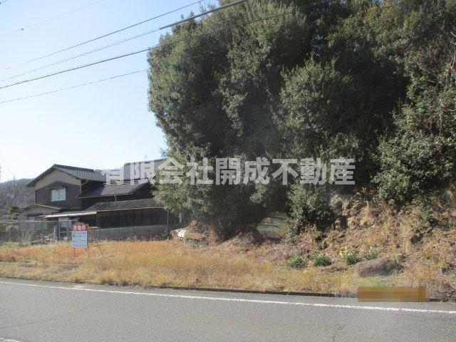 笠岡市神島　売地の前面道路含む現地写真|前面道路含む現地写真です