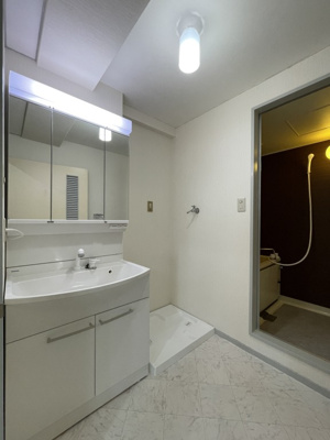 【洗面所】 | ディラヴェール田柄