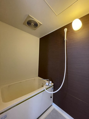 【浴室】 | ディラヴェール田柄