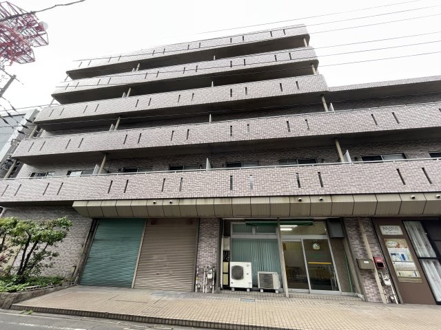 サルテールモリ