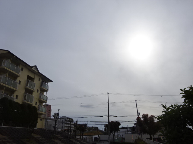 コーポ大津和の展望