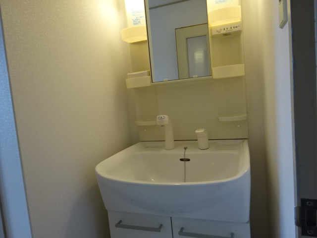 コーポ大津和の洗面所