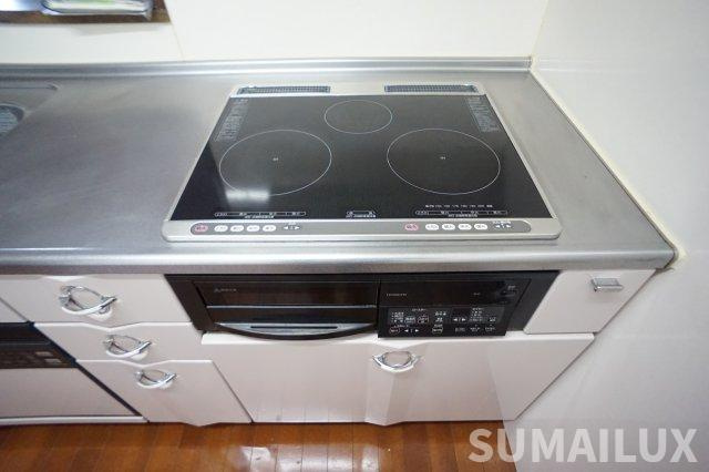 菊池郡大津町美咲野１丁目の賃貸マンションのキッチン