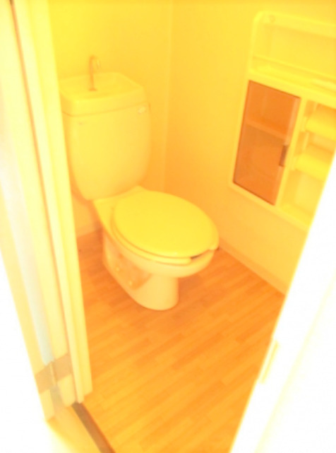 ミーツハオスK B棟のトイレ|落ち着いたトイレです